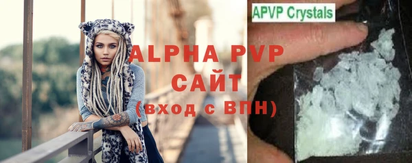 экстази Бородино