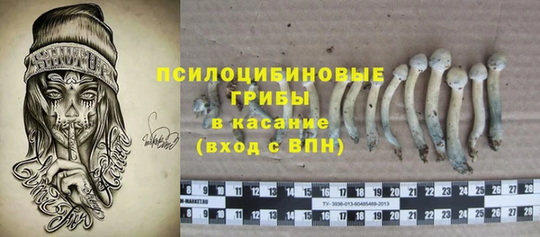 экстази Бородино