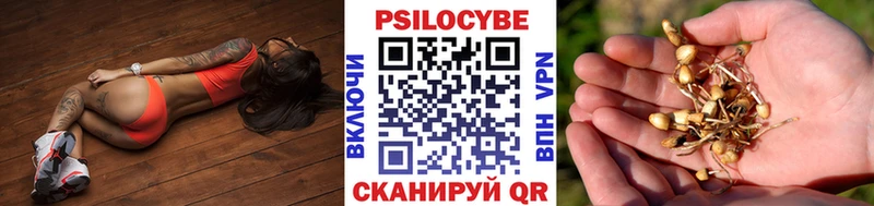 Купить закладки  Черняховск  Галлюциногенные грибы Magic Shrooms 